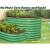 image:imagePlant amp Plot Galvanized Raised Garden Beds Outdoor  422 ft Planter Raised Beds for Gardening Vegetables Flowers  Large Metal Garden Box Light Green  Patented ToolFree DesignLight Green