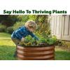 image:imagePlant amp Plot Galvanized Raised Garden Beds Outdoor  622 ft Planter Raised Beds for Gardening Vegetables Flowers Dark Wood Grain  Large Metal Garden Box  Patented ToolFree Design221 ft 3Pack