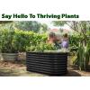 image:imagePlant amp Plot Galvanized Raised Garden Beds Outdoor  822 ft Planter Raised Beds for Gardening Vegetables Flowers  Large Metal Garden Box Black  Patented ToolFree DesignBlack