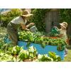 image:image9in1 Galvanized Steel Raised Garden Bed  8215 ft Modular Planter for Gardening Vegetables Flowers  18 Tall Metal Raised Garden Beds Outdoor White  Patented Design Planter BoxTeal
