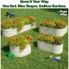 image:image9in1 Galvanized Steel Raised Garden Bed  8215 ft Modular Planter for Gardening Vegetables Flowers  18 Tall Metal Raised Garden Beds Outdoor White  Patented Design Planter BoxWhite