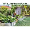 image:imagePlant amp Plot Galvanized Raised Garden Beds Outdoor  421 ft 2Pack Planter Raised Beds for Gardening Vegetables Flowers  Large Metal Garden Box White  Patented ToolFree DesignSilver