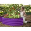 image:imagePlant amp Plot Galvanized Raised Garden Beds Outdoor  421 ft 2Pack Planter Raised Beds for Gardening Vegetables Flowers  Large Metal Garden Box White  Patented ToolFree DesignPurple
