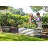 image:imagePlant amp Plot Galvanized Raised Garden Beds Outdoor  421 ft 2Pack Planter Raised Beds for Gardening Vegetables Flowers  Large Metal Garden Box White  Patented ToolFree DesignSilver