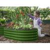 image:imagePlant amp Plot Galvanized Raised Garden Beds Outdoor  421 ft 2Pack Planter Raised Beds for Gardening Vegetables Flowers  Large Metal Garden Box White  Patented ToolFree DesignOlive Green