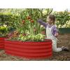 image:imagePlant amp Plot Galvanized Raised Garden Beds Outdoor  421 ft 2Pack Planter Raised Beds for Gardening Vegetables Flowers  Large Metal Garden Box White  Patented ToolFree DesignRed
