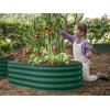 image:imagePlant amp Plot Galvanized Raised Garden Beds Outdoor  421 ft 2Pack Planter Raised Beds for Gardening Vegetables Flowers  Large Metal Garden Box White  Patented ToolFree DesignDark Green