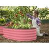 image:imagePlant amp Plot Galvanized Raised Garden Beds Outdoor  421 ft 2Pack Planter Raised Beds for Gardening Vegetables Flowers  Large Metal Garden Box White  Patented ToolFree DesignPink