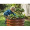 image:imagePlant amp Plot Galvanized Raised Garden Beds Outdoor  421 ft Planter Raised Beds for Gardening Vegetables Flowers  Large Metal Garden Box Dark Wood GrainDark Wood Grain