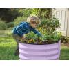 image:imagePlant amp Plot Galvanized Raised Garden Beds Outdoor  421 ft Planter Raised Beds for Gardening Vegetables Flowers Teal  Large Metal Garden BoxLavender