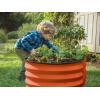 image:imagePlant amp Plot Galvanized Raised Garden Beds Outdoor  421 ft Planter Raised Beds for Gardening Vegetables Flowers Teal  Large Metal Garden BoxOrange