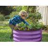 image:imagePlant amp Plot Galvanized Raised Garden Beds Outdoor  421 ft Planter Raised Beds for Gardening Vegetables Flowers Teal  Large Metal Garden BoxPurple