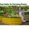 image:imagePlant amp Plot Galvanized Raised Garden Beds Outdoor  421 ft Planter Raised Beds for Gardening Vegetables Flowers Teal  Large Metal Garden BoxYellow