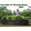 image:imagePlant amp Plot Galvanized Raised Garden Beds Outdoor  841 ft Planter Raised Beds for Gardening Vegetables Flowers  Large Metal Garden Box  Patented ToolFree Design GrayBlack