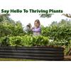image:imagePlant amp Plot Galvanized Raised Garden Beds Outdoor  841 ft Planter Raised Beds for Gardening Vegetables Flowers  Large Metal Garden Box  Patented ToolFree Design GrayBlack