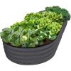 image:imagePlant amp Plot Galvanized Raised Garden Beds Outdoor  841 ft Planter Raised Beds for Gardening Vegetables Flowers  Large Metal Garden Box  Patented ToolFree Design GrayGray