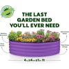 image:imageRound Galvanized Raised Garden Bed  441 ft Galvanized Raised Garden Beds Outdoor for Gardening Vegetables Flowers  Patented ToolFree Design Round Planter TealPurple