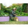 image:imageRound Galvanized Raised Garden Bed  441 ft Galvanized Raised Garden Beds Outdoor for Gardening Vegetables Flowers  Patented ToolFree Design Round Planter TealLavender