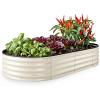 image:imagePlant amp Plot Galvanized Raised Garden Beds Outdoor  841 ft Planter Raised Beds for Gardening Vegetables Flowers  Large Metal Garden Box  Patented ToolFree Design GrayWhite