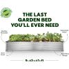 image:imagePlant amp Plot Galvanized Raised Garden Beds Outdoor  841 ft Planter Raised Beds for Gardening Vegetables Flowers  Large Metal Garden Box  Patented ToolFree Design Dark GraySilver