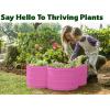 image:imagePlant amp Plot Galvanized Raised Garden Beds Outdoor  331 ft Planter Raised Beds for Gardening Vegetables Flowers  Large Metal Garden Box Red  Patented ToolFree DesignPink