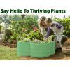 image:imagePlant amp Plot Galvanized Raised Garden Beds Outdoor  331 ft Planter Raised Beds for Gardening Vegetables Flowers  Large Metal Garden Box Red  Patented ToolFree DesignLight Green