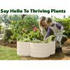 image:imagePlant amp Plot Galvanized Raised Garden Beds Outdoor  331 ft Planter Raised Beds for Gardening Vegetables Flowers  Large Metal Garden Box Red  Patented ToolFree DesignWhite