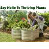 image:imagePlant amp Plot Galvanized Raised Garden Beds Outdoor  331 ft Planter Raised Beds for Gardening Vegetables Flowers  Large Metal Garden Box Red  Patented ToolFree DesignSilver