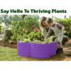 image:imagePlant amp Plot Galvanized Raised Garden Beds Outdoor  331 ft Planter Raised Beds for Gardening Vegetables Flowers  Large Metal Garden Box Red  Patented ToolFree DesignPurple