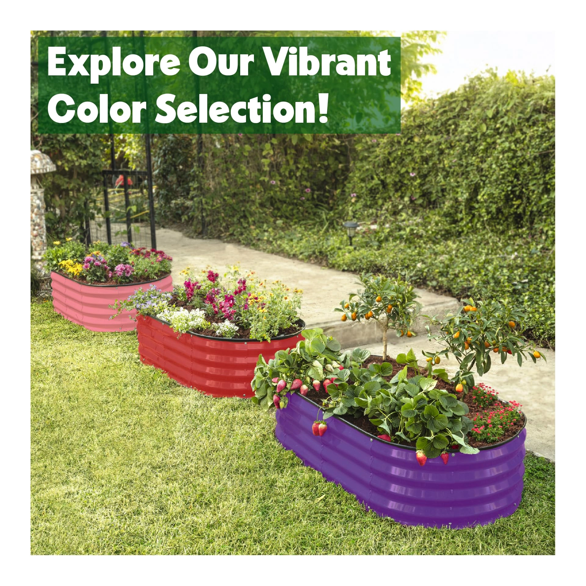 Shop Plant & Plot | Rustproof Raised Beds for Gardening