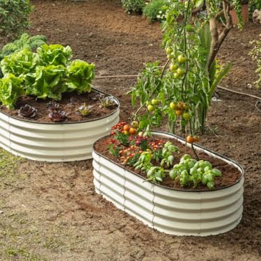 Shop Plant & Plot | Rustproof Raised Beds for Gardening