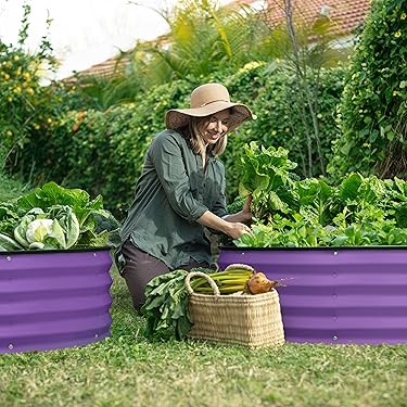 Shop Plant & Plot | Rustproof Raised Beds for Gardening