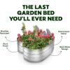 image:imagePlant amp Plot Galvanized Raised Garden Beds Outdoor  Planter Raised Beds for Gardening Vegetables Flowers  Large Metal Garden Box Lavender  ToolFree AssemblySilver