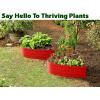 image:imagePlant amp Plot Galvanized Raised Garden Beds Outdoor  Planter Raised Beds for Gardening Vegetables Flowers  Large Metal Garden Box Lavender  ToolFree AssemblyRed