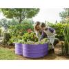 image:imagePlant amp Plot Galvanized Raised Garden Beds Outdoor  Planter Raised Beds for Gardening Vegetables Flowers  Large Metal Garden Box Lavender  ToolFree AssemblyPurple