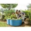 image:imagePlant amp Plot Galvanized Raised Garden Beds Outdoor  Planter Raised Beds for Gardening Vegetables Flowers  Large Metal Garden Box Lavender  ToolFree AssemblyTeal