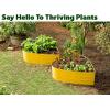 image:imagePlant amp Plot Galvanized Raised Garden Beds Outdoor  Planter Raised Beds for Gardening Vegetables Flowers  Large Metal Garden Box Lavender  ToolFree AssemblyYellow