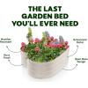 image:imagePlant amp Plot Galvanized Raised Garden Beds Outdoor  Planter Raised Beds for Gardening Vegetables Flowers  Large Metal Garden Box Lavender  ToolFree AssemblyWhite