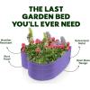 image:imagePlant amp Plot Galvanized Raised Garden Beds Outdoor  Planter Raised Beds for Gardening Vegetables Flowers  Large Metal Garden Box Lavender  ToolFree AssemblyPurple