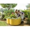 image:imagePlant amp Plot Galvanized Raised Garden Beds Outdoor  Planter Raised Beds for Gardening Vegetables Flowers  Large Metal Garden Box Lavender  ToolFree AssemblyYellow