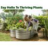 image:imagePlant amp Plot Galvanized Raised Garden Beds Outdoor  Planter Raised Beds for Gardening Vegetables Flowers  Large Metal Garden Box Lavender  ToolFree AssemblySilver