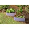 image:imagePlant amp Plot Galvanized Raised Garden Beds Outdoor  Planter Raised Beds for Gardening Vegetables Flowers  Large Metal Garden Box Lavender  ToolFree AssemblyLavender