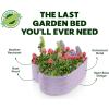 image:imagePlant amp Plot Galvanized Raised Garden Beds Outdoor  Planter Raised Beds for Gardening Vegetables Flowers  Large Metal Garden Box Lavender  ToolFree AssemblyLavender